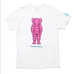 KAWS WHAT PARTY TEE Sz Large Brand New